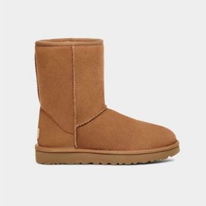 Brand New Classic Short II Uggs in original box